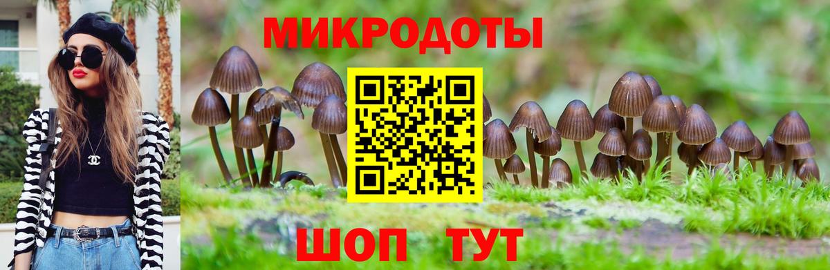 Псилоцибиновые грибы мицелий  Вход с VPN  Казань  Псилоцибиновые грибы GOLDEN TEACHER 